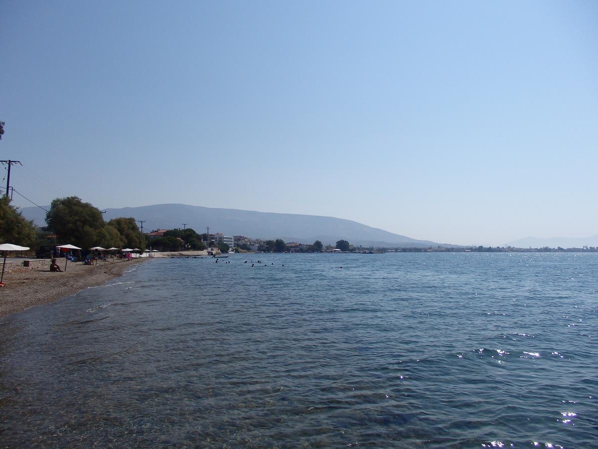 Stefania Beach Hotel Evia Extérieur photo